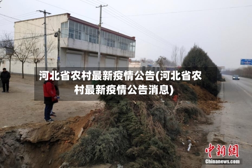 河北省农村最新疫情公告(河北省农村最新疫情公告消息)-第2张图片