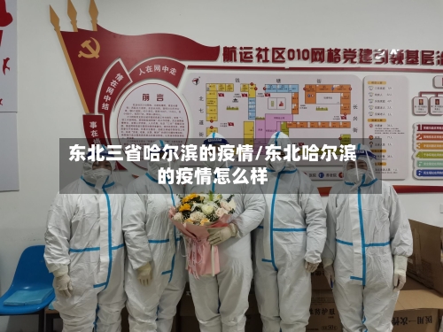 东北三省哈尔滨的疫情/东北哈尔滨的疫情怎么样-第1张图片