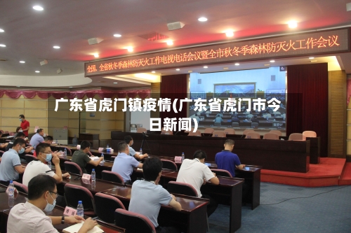 广东省虎门镇疫情(广东省虎门市今日新闻)-第1张图片