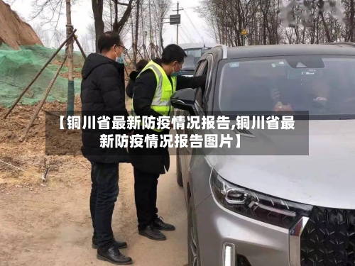 【铜川省最新防疫情况报告,铜川省最新防疫情况报告图片】-第2张图片
