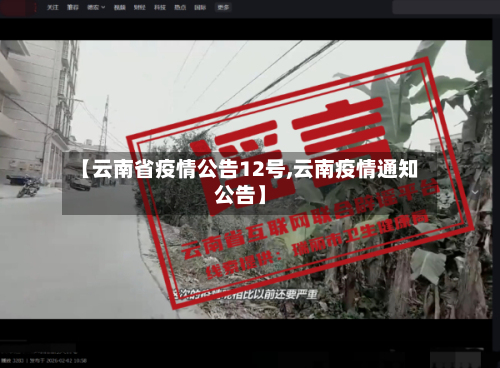 【云南省疫情公告12号,云南疫情通知公告】-第3张图片