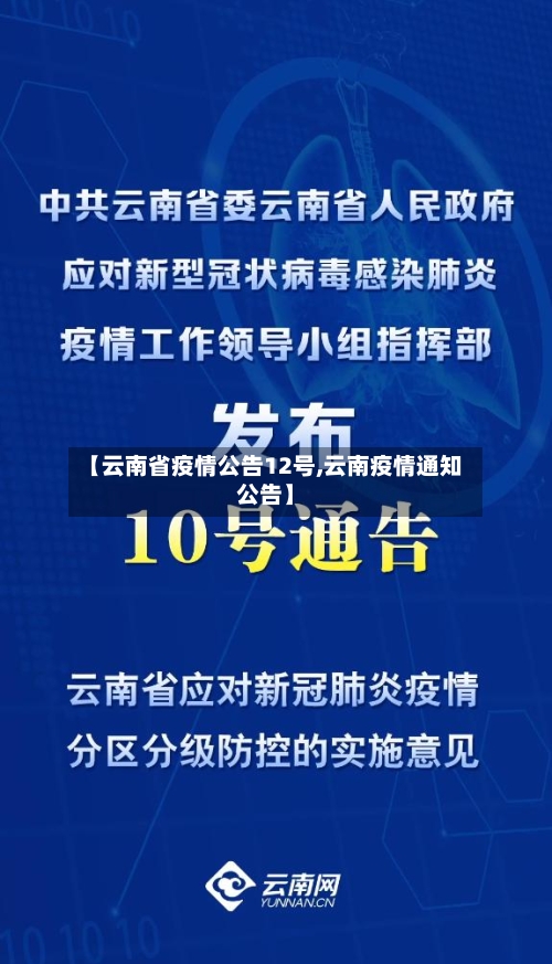 【云南省疫情公告12号,云南疫情通知公告】-第2张图片