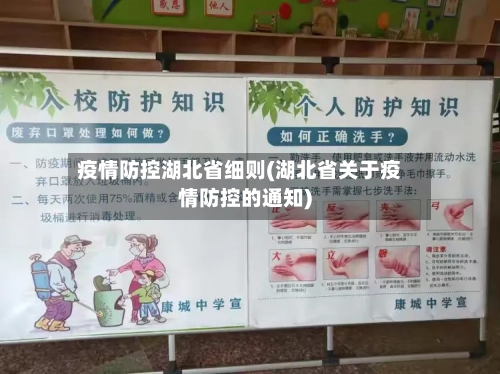疫情防控湖北省细则(湖北省关于疫情防控的通知)-第3张图片