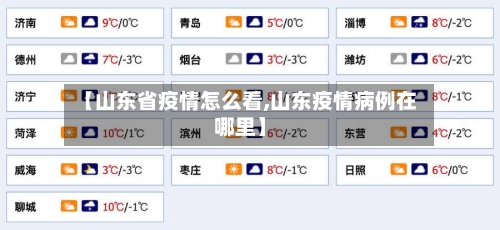 【山东省疫情怎么看,山东疫情病例在哪里】-第1张图片