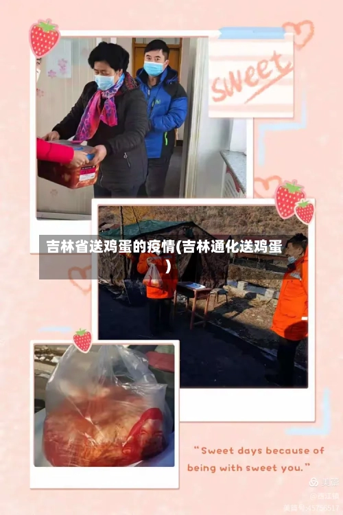 吉林省送鸡蛋的疫情(吉林通化送鸡蛋)-第3张图片