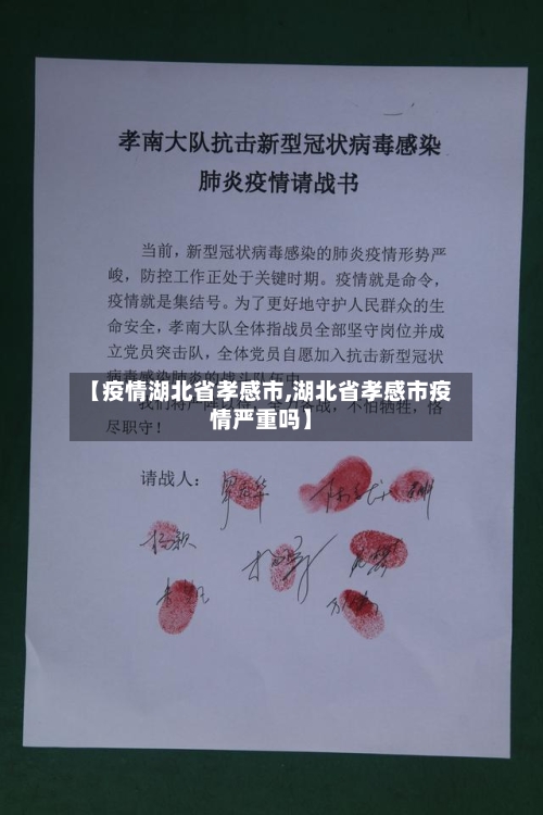 【疫情湖北省孝感市,湖北省孝感市疫情严重吗】-第1张图片
