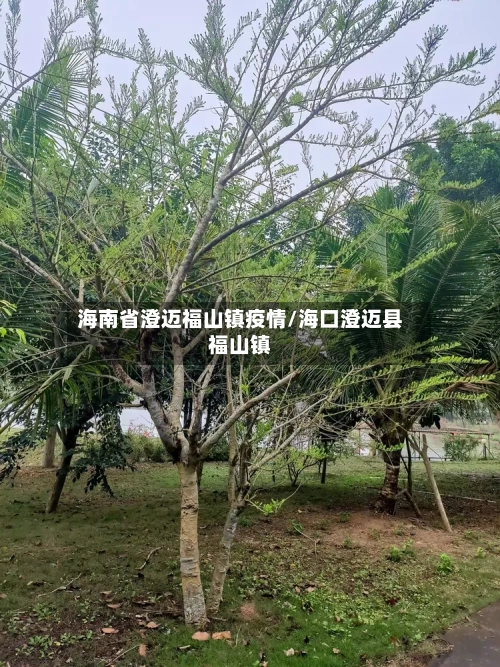 海南省澄迈福山镇疫情/海口澄迈县福山镇-第2张图片