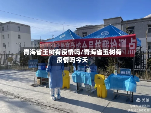 青海省玉树有疫情吗/青海省玉树有疫情吗今天-第2张图片