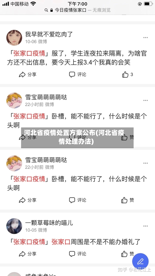 河北省疫情处置方案公布(河北省疫情处理办法)-第3张图片