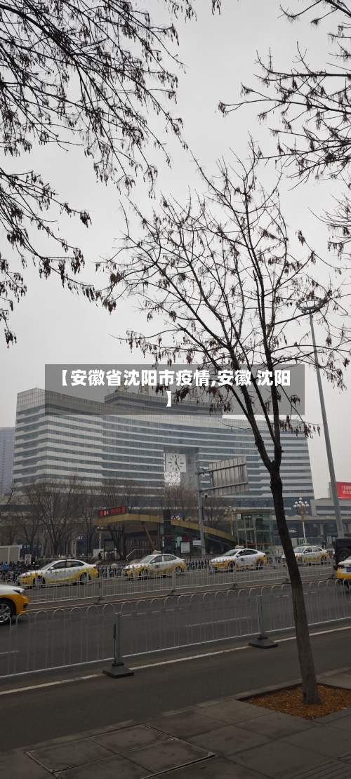 【安徽省沈阳市疫情,安徽 沈阳】-第1张图片