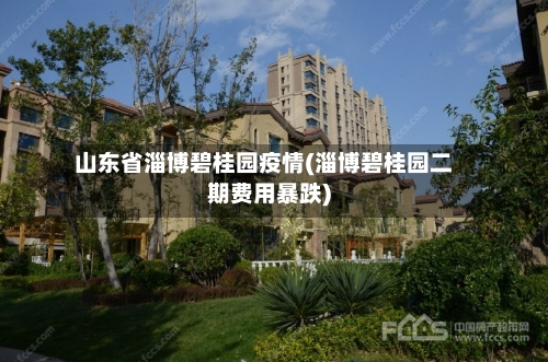 山东省淄博碧桂园疫情(淄博碧桂园二期费用暴跌)-第1张图片