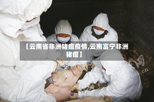 【云南省非洲猪瘟疫情,云南富宁非洲猪瘟】-第2张图片