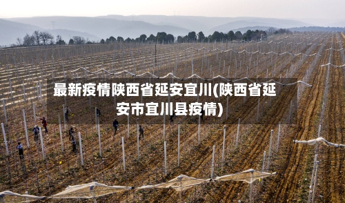 最新疫情陕西省延安宜川(陕西省延安市宜川县疫情)-第3张图片