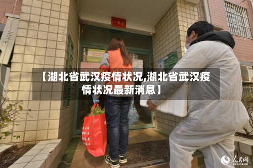 【湖北省武汉疫情状况,湖北省武汉疫情状况最新消息】-第1张图片