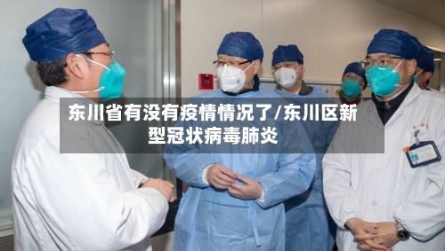 东川省有没有疫情情况了/东川区新型冠状病毒肺炎-第2张图片