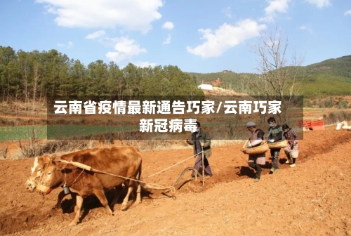 云南省疫情最新通告巧家/云南巧家新冠病毒-第2张图片