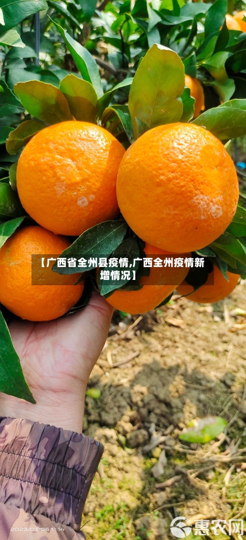 【广西省全州县疫情,广西全州疫情新增情况】-第2张图片