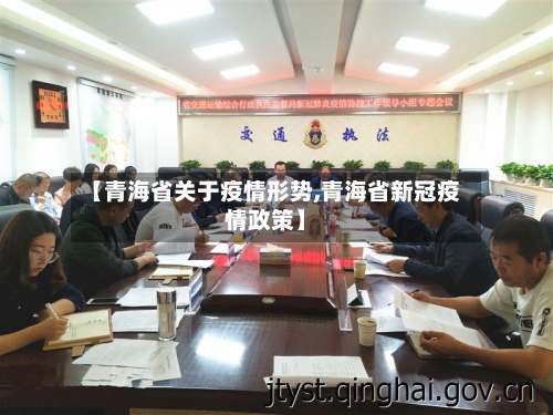 【青海省关于疫情形势,青海省新冠疫情政策】-第2张图片