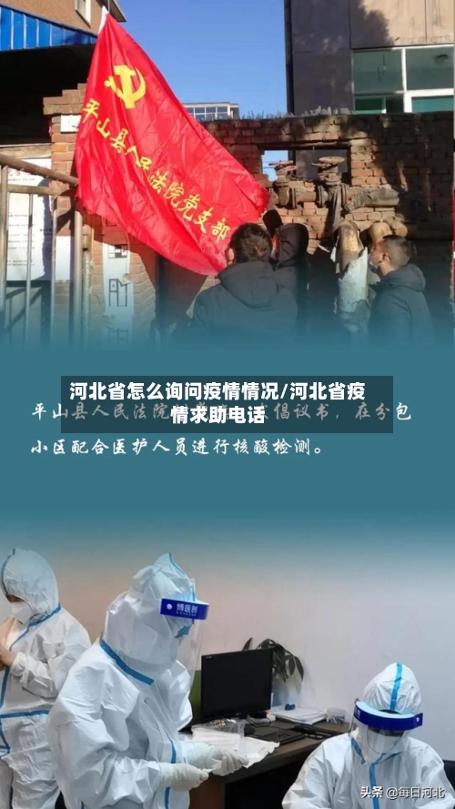 河北省怎么询问疫情情况/河北省疫情求助电话-第1张图片