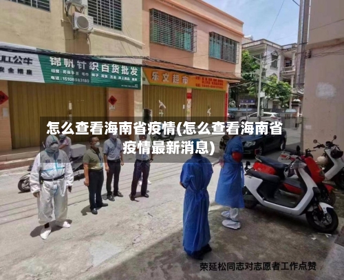 怎么查看海南省疫情(怎么查看海南省疫情最新消息)-第1张图片
