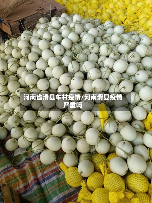 河南省滑县车村疫情/河南滑县疫情严重吗-第1张图片