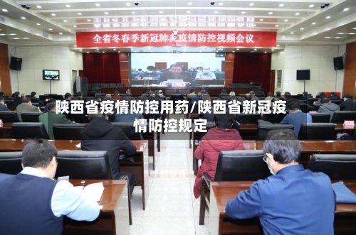 陕西省疫情防控用药/陕西省新冠疫情防控规定-第2张图片