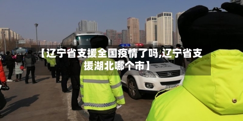 【辽宁省支援全国疫情了吗,辽宁省支援湖北哪个市】-第3张图片