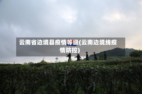 云南省边境县疫情等级(云南边境线疫情防控)-第1张图片