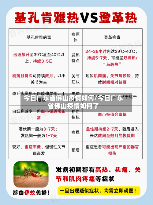 今日广东省佛山疫情如何/今日广东省佛山疫情如何了-第1张图片