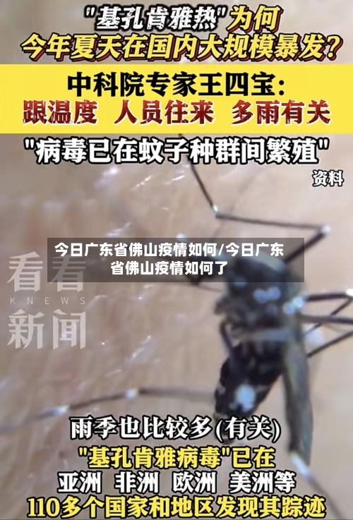 今日广东省佛山疫情如何/今日广东省佛山疫情如何了-第2张图片