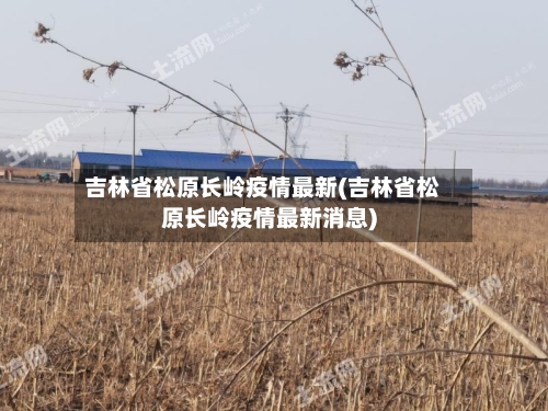 吉林省松原长岭疫情最新(吉林省松原长岭疫情最新消息)-第2张图片