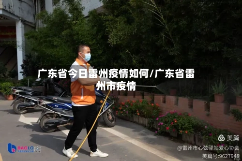 广东省今日雷州疫情如何/广东省雷州市疫情-第1张图片