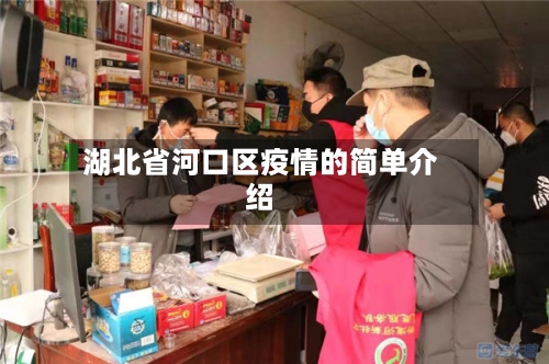 湖北省河口区疫情的简单介绍-第3张图片