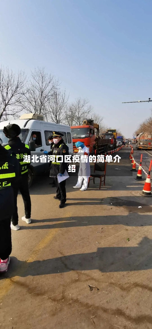 湖北省河口区疫情的简单介绍-第1张图片