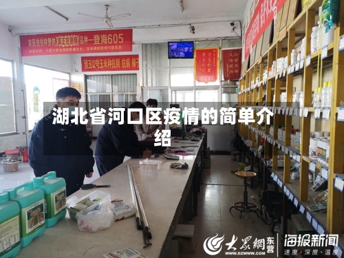 湖北省河口区疫情的简单介绍-第2张图片