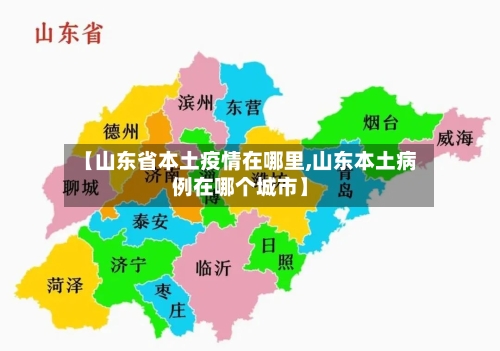 【山东省本土疫情在哪里,山东本土病例在哪个城市】-第3张图片