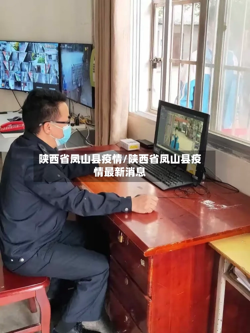 陕西省凤山县疫情/陕西省凤山县疫情最新消息-第2张图片