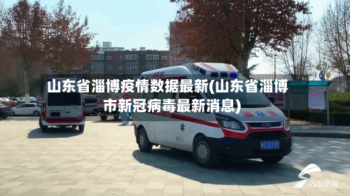 山东省淄博疫情数据最新(山东省淄博市新冠病毒最新消息)-第3张图片