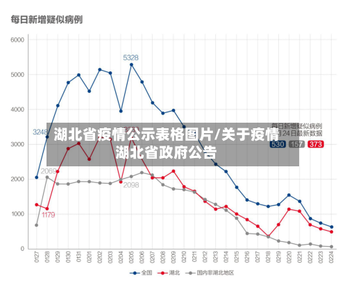 湖北省疫情公示表格图片/关于疫情湖北省政府公告-第1张图片