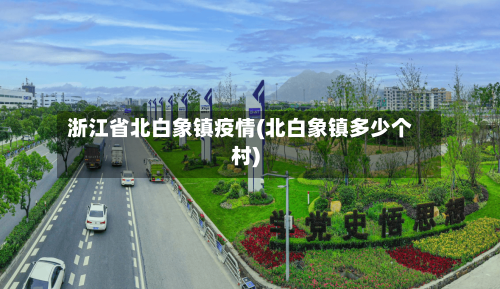 浙江省北白象镇疫情(北白象镇多少个村)-第1张图片
