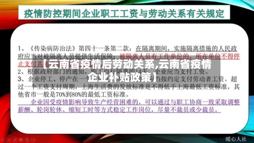 【云南省疫情后劳动关系,云南省疫情企业补贴政策】-第1张图片