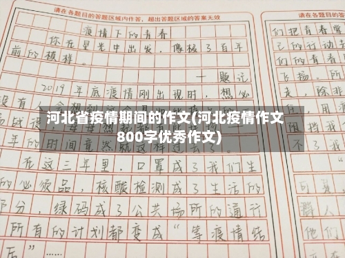 河北省疫情期间的作文(河北疫情作文800字优秀作文)-第2张图片