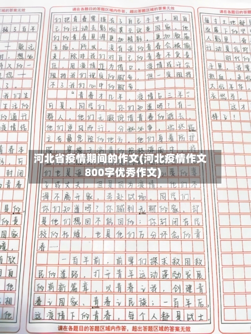 河北省疫情期间的作文(河北疫情作文800字优秀作文)-第1张图片