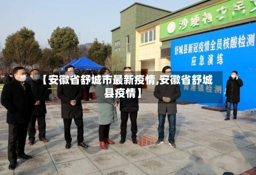 【安徽省舒城市最新疫情,安徽省舒城县疫情】-第1张图片