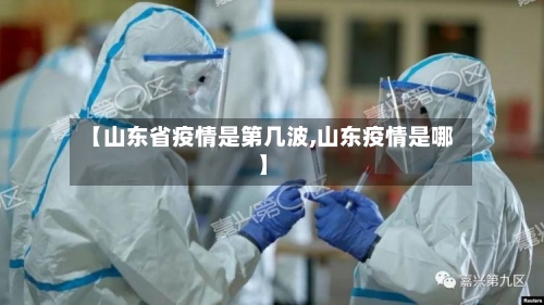 【山东省疫情是第几波,山东疫情是哪】-第2张图片