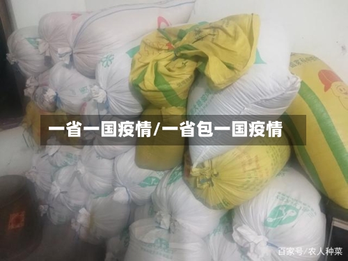 一省一国疫情/一省包一国疫情-第2张图片