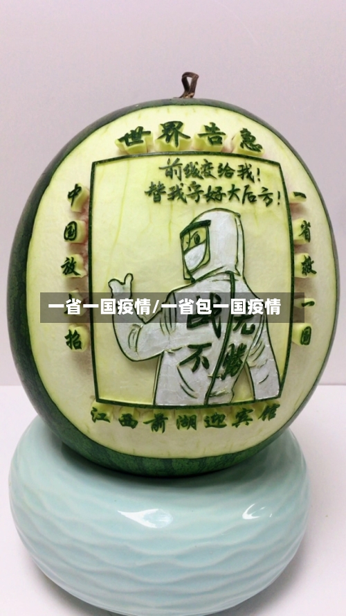 一省一国疫情/一省包一国疫情-第1张图片