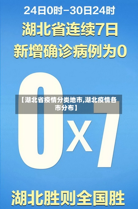 【湖北省疫情分类地市,湖北疫情各市分布】-第1张图片
