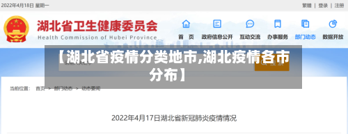 【湖北省疫情分类地市,湖北疫情各市分布】-第2张图片