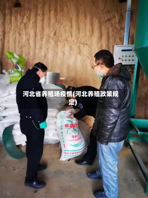 河北省养殖场疫情(河北养殖政策规定)-第1张图片